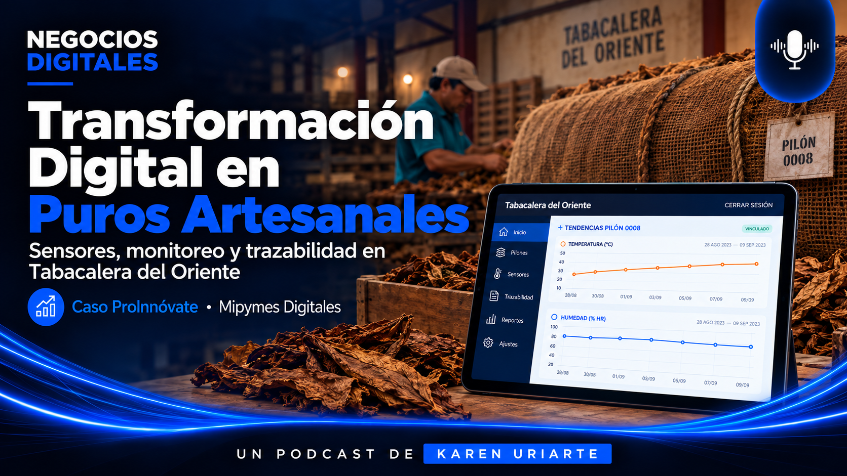 Consultoría y Capacitación en Negocios Digitales Podcast