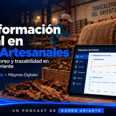 Consultoría y Capacitación en Negocios Digitales Podcast